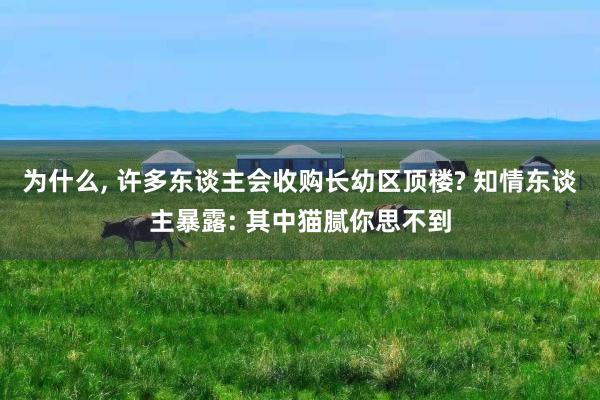 为什么, 许多东谈主会收购长幼区顶楼? 知情东谈主暴露: 其中猫腻你思不到