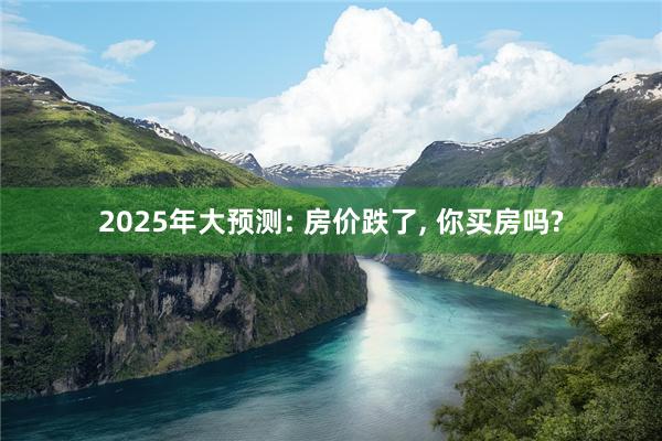 2025年大预测: 房价跌了, 你买房吗?