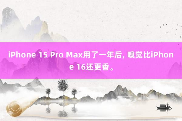 iPhone 15 Pro Max用了一年后, 嗅觉比iPhone 16还更香。