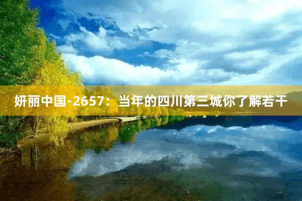 妍丽中国-2657：当年的四川第三城你了解若干