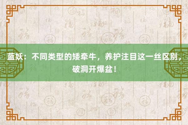 蓝妖：不同类型的矮牵牛，养护注目这一丝区别，破洞开爆盆！