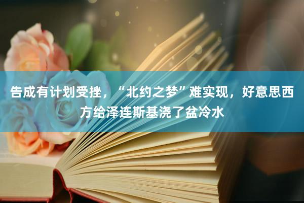 告成有计划受挫，“北约之梦”难实现，好意思西方给泽连斯基浇了盆冷水