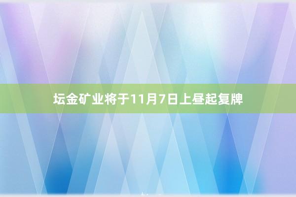 坛金矿业将于11月7日上昼起复牌