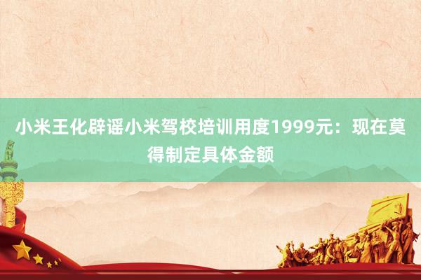 小米王化辟谣小米驾校培训用度1999元：现在莫得制定具体金额