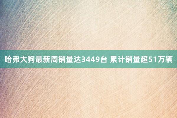 哈弗大狗最新周销量达3449台 累计销量超51万辆